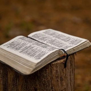Quais são os melhores devocionais para acompanhar a leitura da Bíblia?
